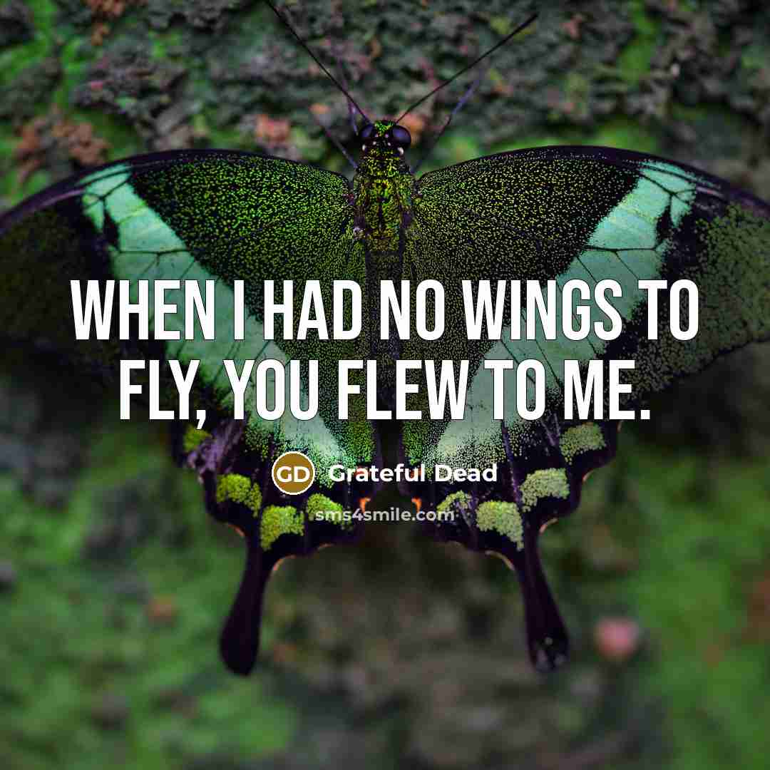 “When I had no wings to fly, you flew to me.” quote by Grateful Dead