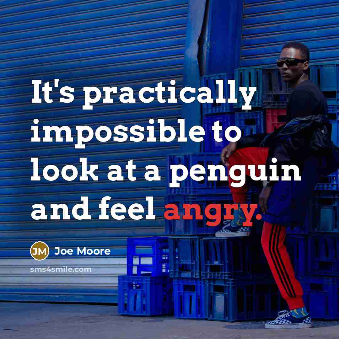 “It's practically impossible to look at a penguin and feel angry.” quote by Joe Moore
