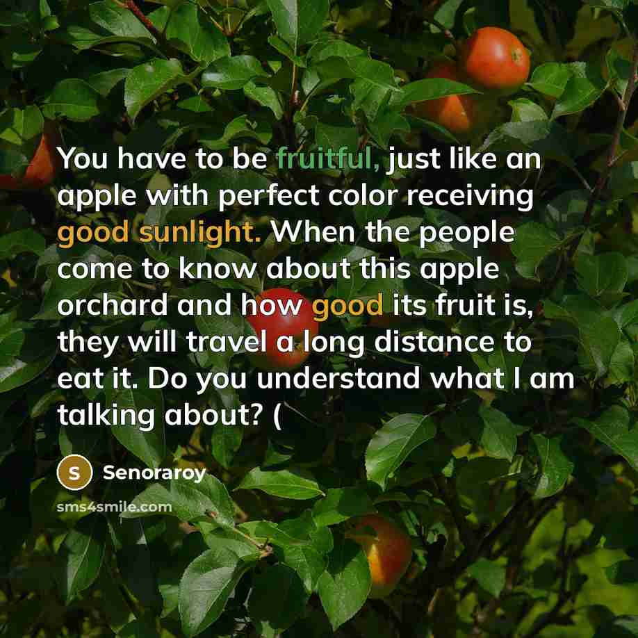 “You have to be fruitful, just like an apple with perfect color receiving good sunlight. When the people come to know about this apple orchard and how good its fruit is, they will travel a long distance to eat it. Do you understand what I am talking about? (” quote by Senoraroy
