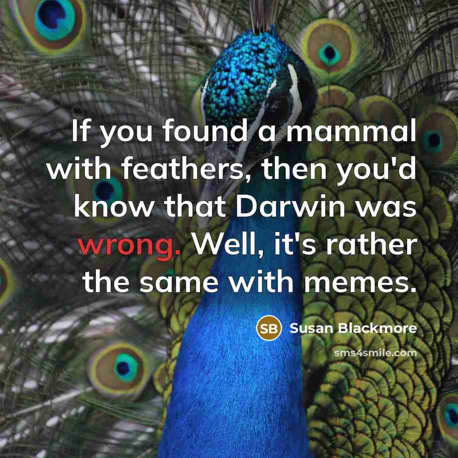 “If you found a mammal with feathers, then you'd know that Darwin was wrong. Well, it's rather the same with memes.” quote by Susan Blackmore