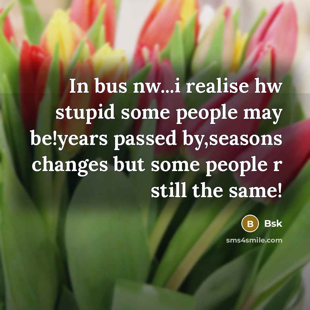 “In bus nw...i realise hw stupid some people may be!years passed by,seasons changes but some people r still the same!” quote by Bsk
