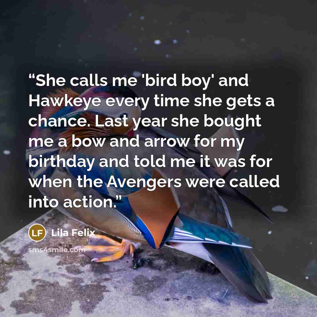 “She calls me 'bird boy' and Hawkeye every time she gets a chance. Last year she bought me a bow and arrow for my birthday and told me it was for when the Avengers were called into action.” quote by Lila Felix