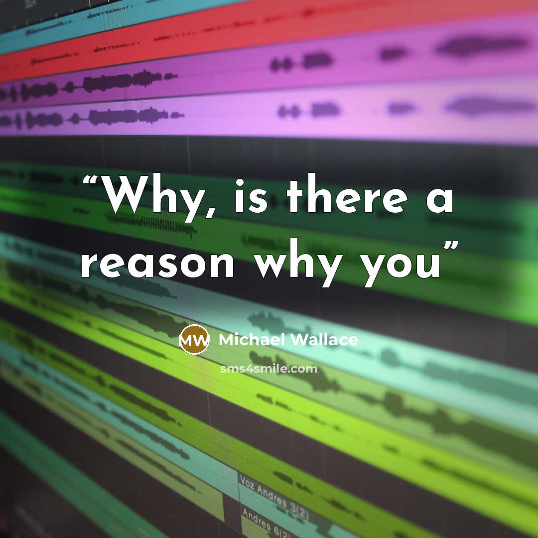 “Why, is there a reason why you” quote by Michael Wallace
