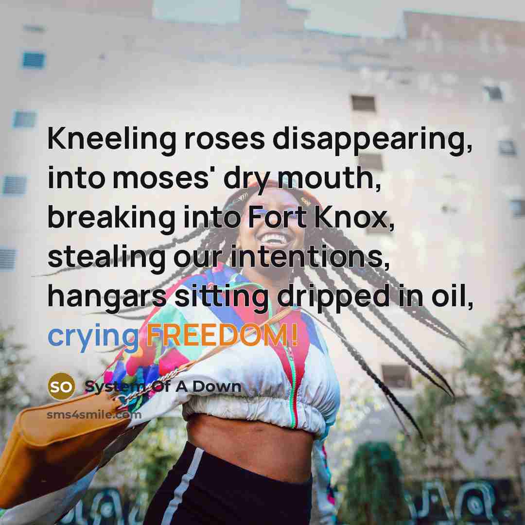 “Kneeling roses disappearing, into moses' dry mouth, breaking into Fort Knox, stealing our intentions, hangars sitting dripped in oil, crying FREEDOM!” quote by System Of A Down