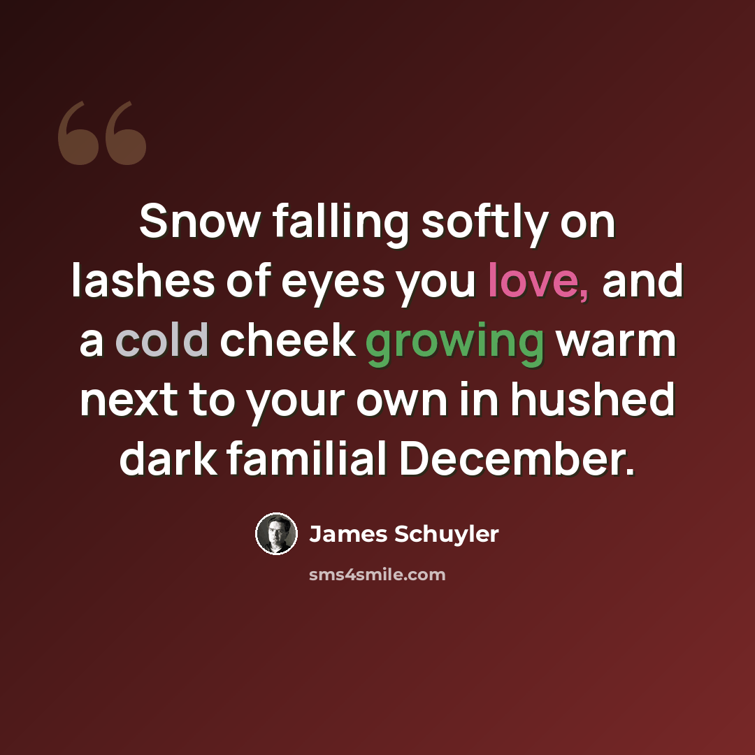 “Snow falling softly on lashes of eyes you love, and a cold cheek growing warm next to your own in hushed dark familial December.” quote by James Schuyler