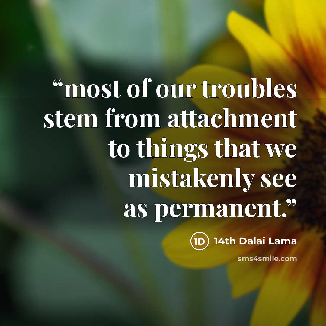 “most of our troubles stem from attachment to things that we mistakenly see as permanent.” quote by 14th Dalai Lama