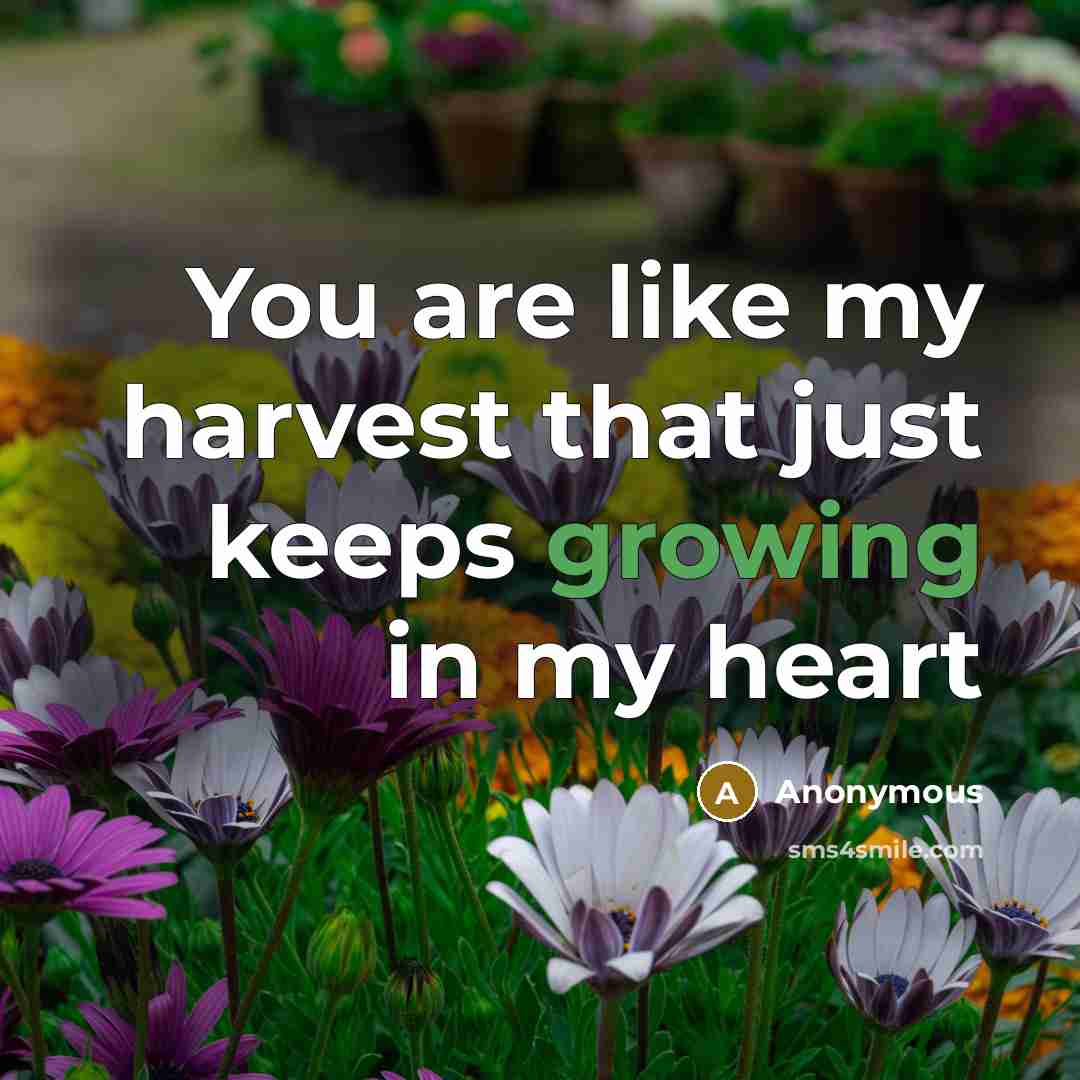 “You are like my harvest that just keeps growing in my heart” quote by Anonymous