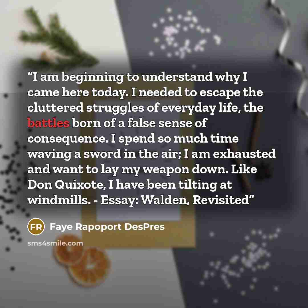 “I am beginning to understand why I came here today. I needed to escape the cluttered struggles of everyday life, the battles born of a false sense of consequence. I spend so much time waving a sword in the air; I am exhausted and want to lay my weapon down. Like Don Quixote, I have been tilting at…” quote by Faye Rapoport DesPres