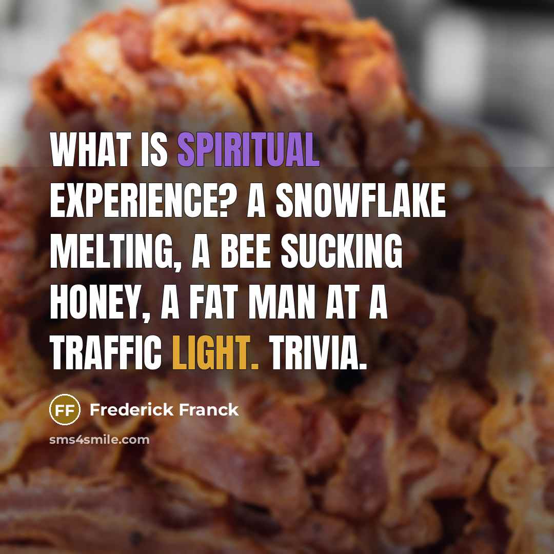 “What is spiritual experience? A snowflake melting, a bee sucking honey, a fat man at a traffic light. Trivia.” quote by Frederick Franck