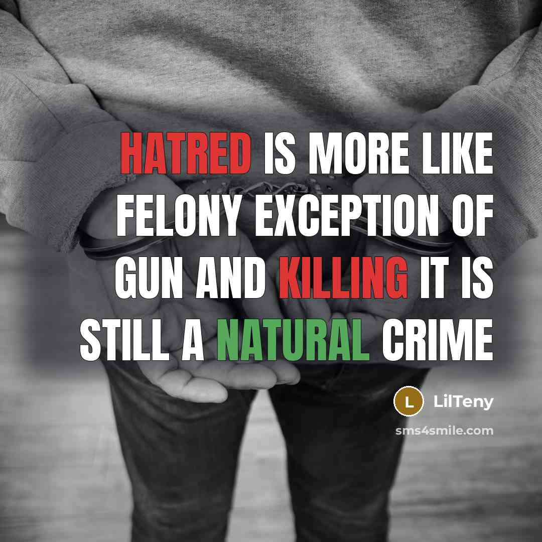 “Hatred is more like felony exception of gun and killing it is still a natural crime” quote by LilTeny