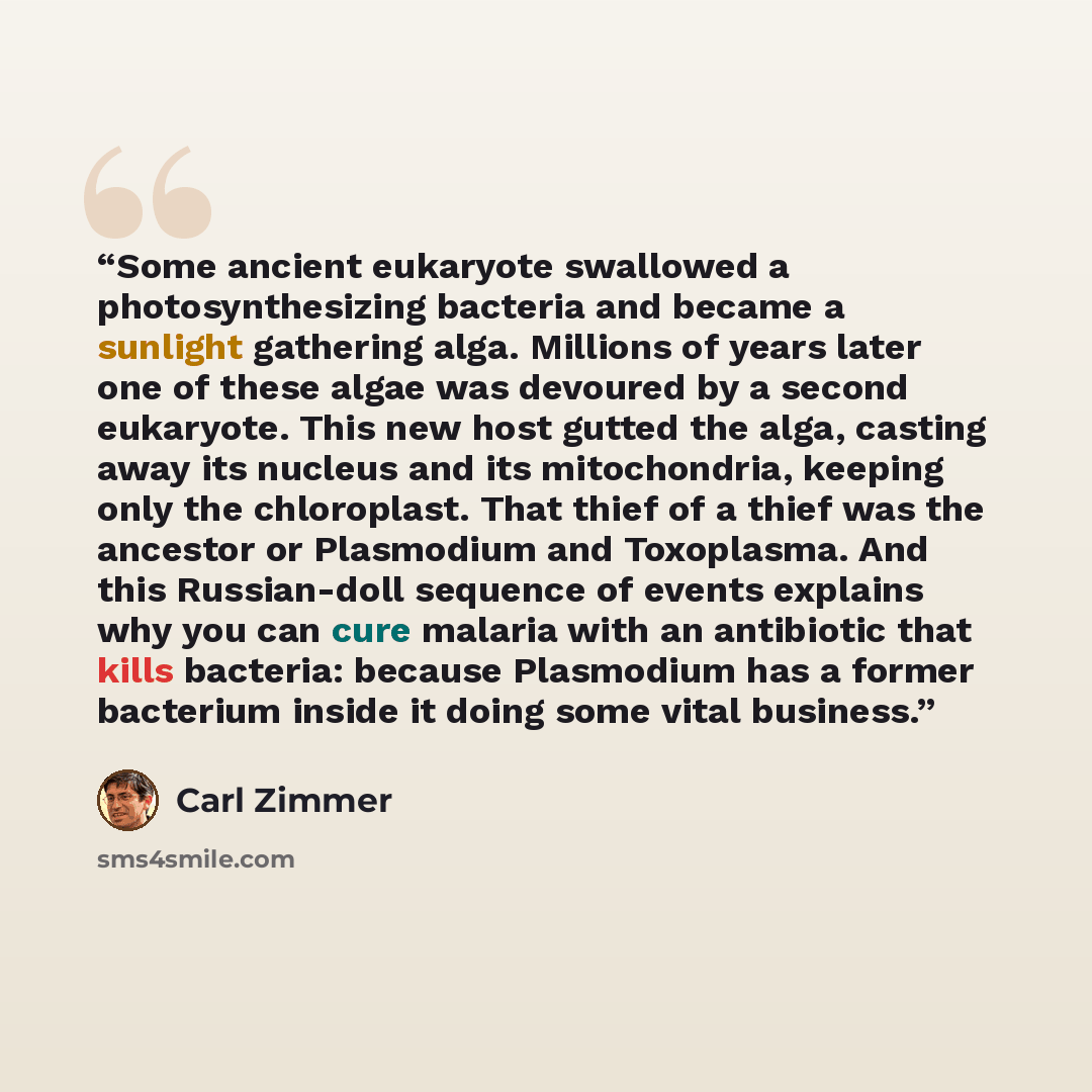 “Some ancient eukaryote swallowed a photosynthesizing bacteria and became a sunlight gathering alga. Millions of years later one of these algae was devoured by a second eukaryote. This new host gutted the alga, casting away its nucleus and its mitochondria, keeping only the chloroplast. That thief…” quote by Carl Zimmer