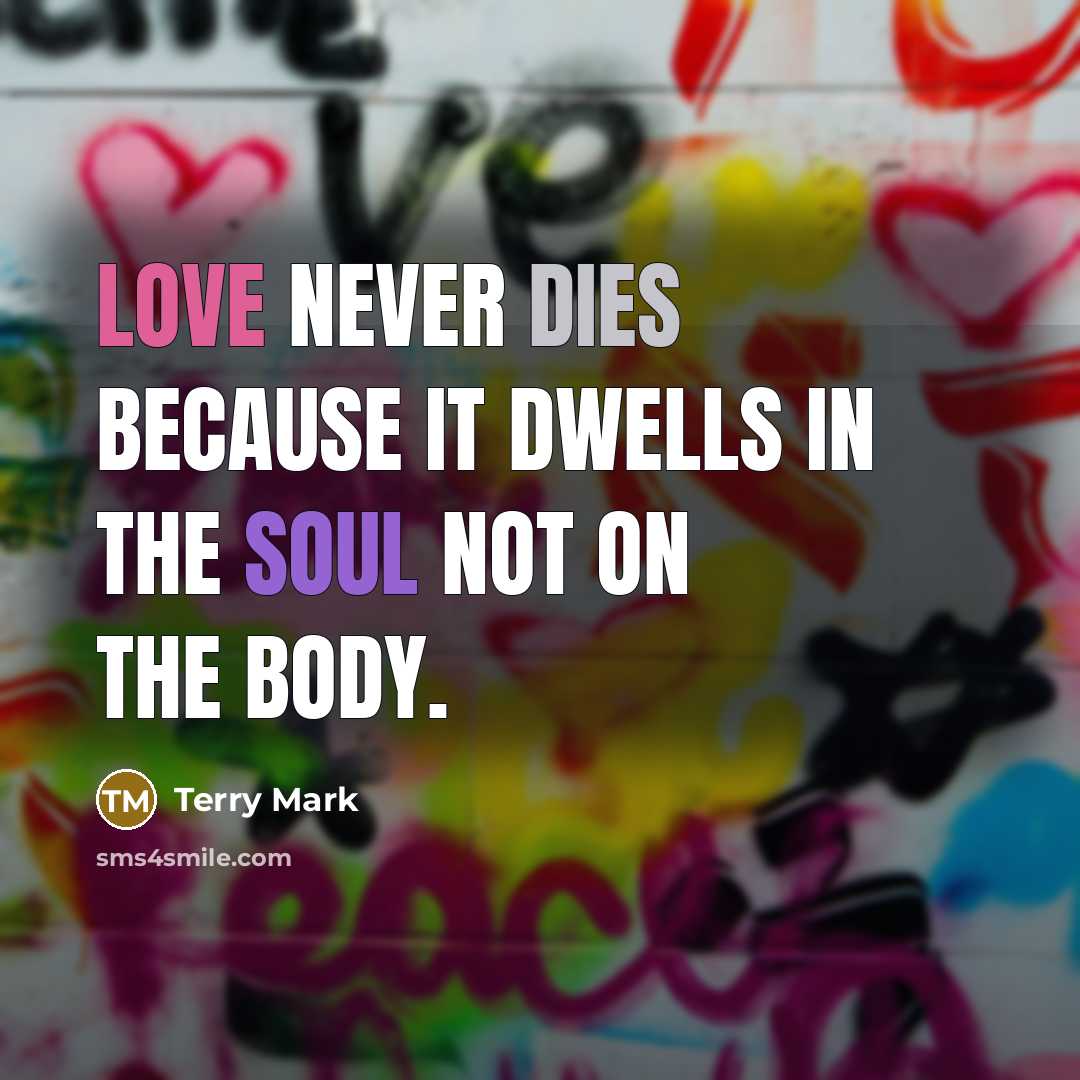 “Love never dies because it dwells in the soul not on the body.” quote by Terry Mark