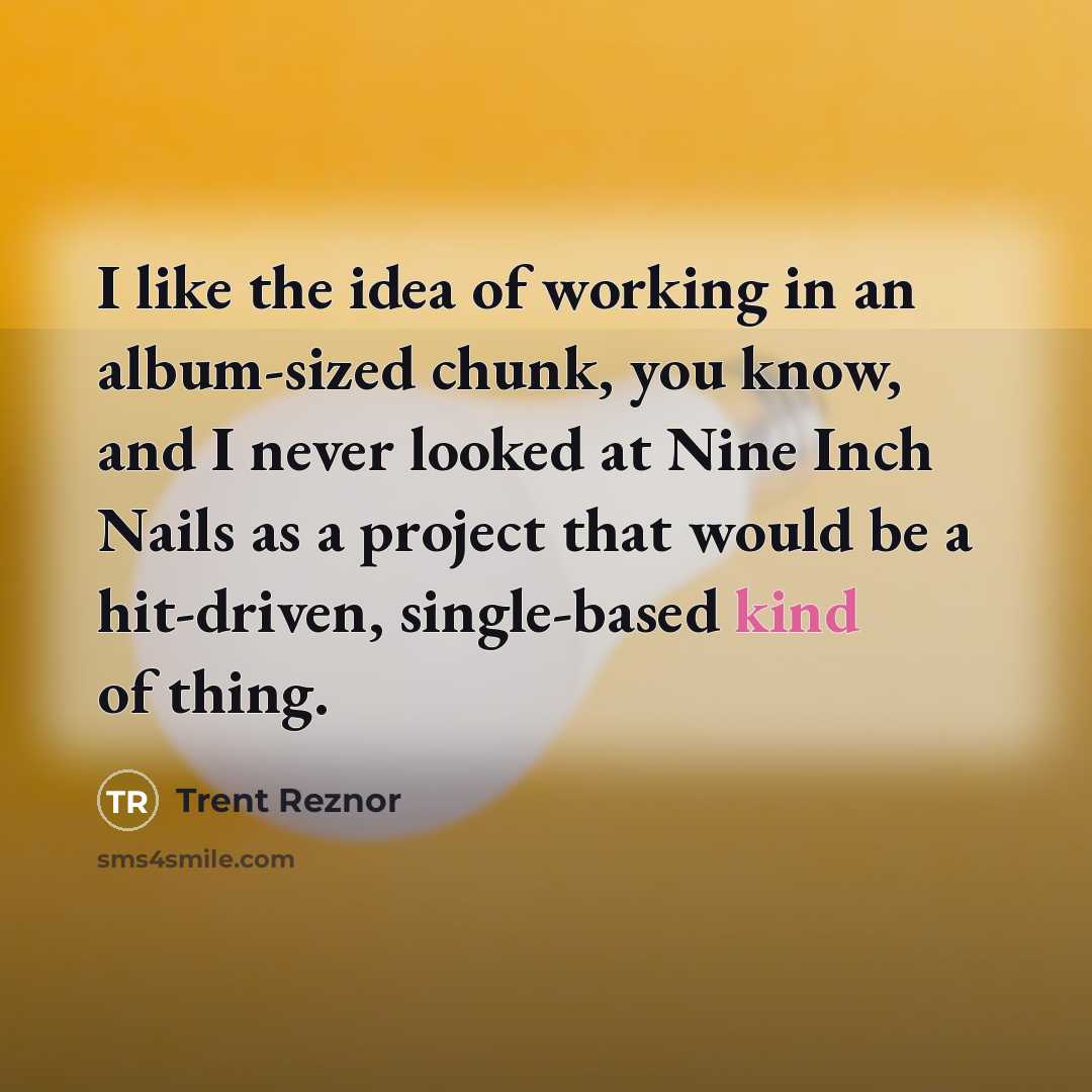“I like the idea of working in an album-sized chunk, you know, and I never looked at Nine Inch Nails as a project that would be a hit-driven, single-based kind of thing.” quote by Trent Reznor