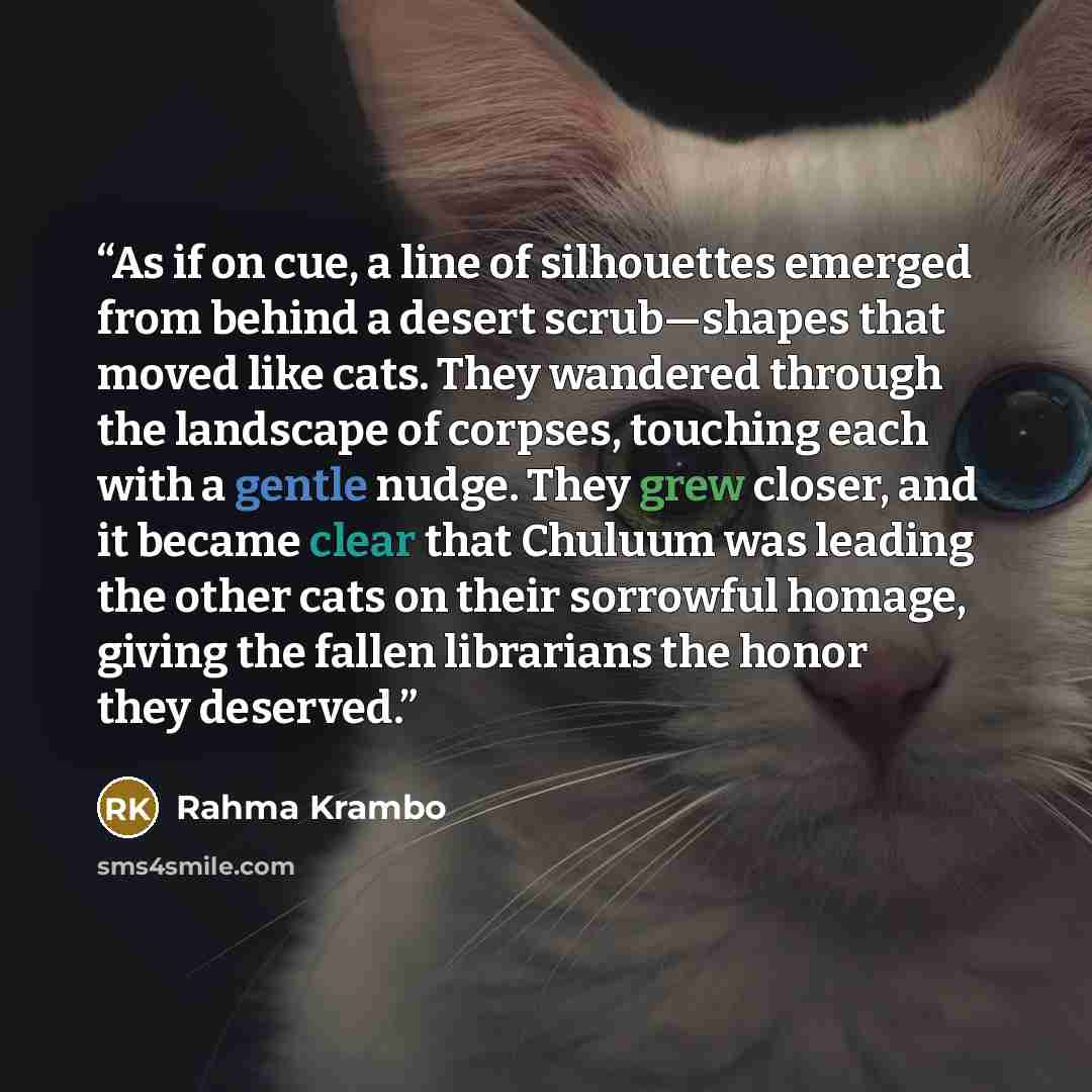“As if on cue, a line of silhouettes emerged from behind a desert scrub—shapes that moved like cats. They wandered through the landscape of corpses, touching each with a gentle nudge. They grew closer, and it became clear that Chuluum was leading the other cats on their sorrowful homage, giving the…” quote by Rahma Krambo