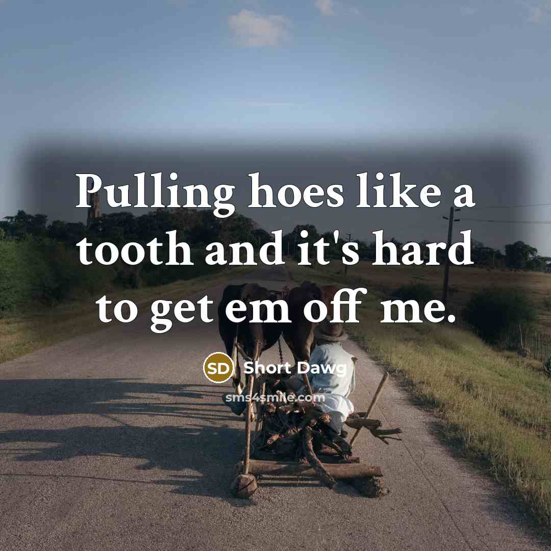 “Pulling hoes like a tooth and it's hard to get em off me.” quote by Short Dawg