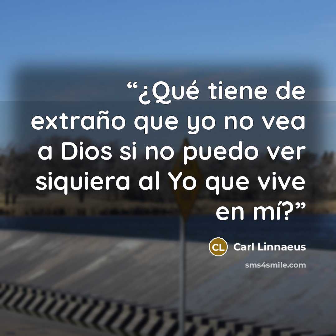 “¿Qué tiene de extraño que yo no vea a Dios si no puedo ver siquiera al Yo que vive en mí?” quote by Carl Linnaeus