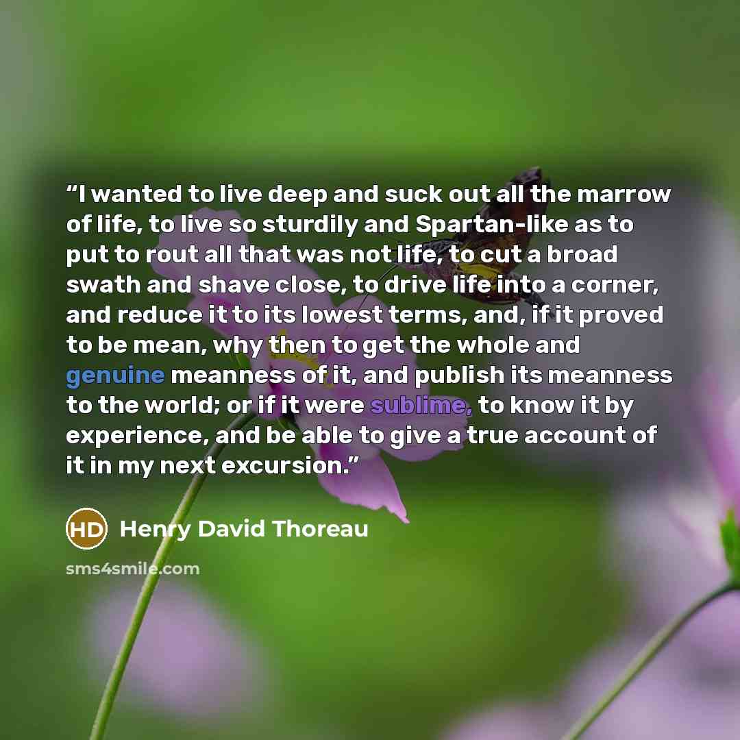 “I wanted to live deep and suck out all the marrow of life, to live so sturdily and Spartan-like as to put to rout all that was not life, to cut a broad swath and shave close, to drive life into a corner, and reduce it to its lowest terms, and, if it proved to be mean, why then to get the whole and…” quote by Henry David Thoreau