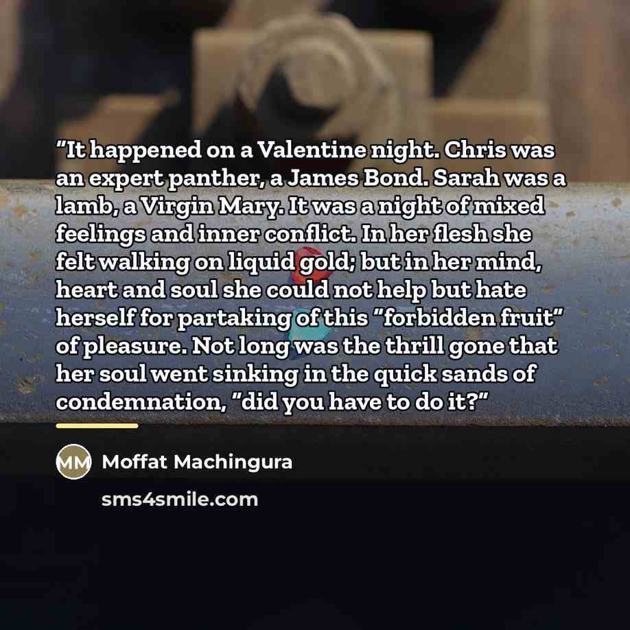 “It happened on a Valentine night. Chris was an expert panther, a James Bond. Sarah was a lamb, a Virgin Mary. It was a night of mixed feelings and inner conflict. In her flesh she felt walking on liquid gold; but in her mind, heart and soul she could not help but hate herself for partaking of this…” quote by Moffat Machingura