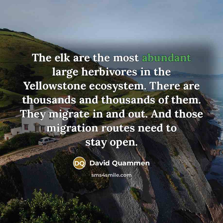 “The elk are the most abundant large herbivores in the Yellowstone ecosystem. There are thousands and thousands of them. They migrate in and out. And those migration routes need to stay open.” quote by David Quammen
