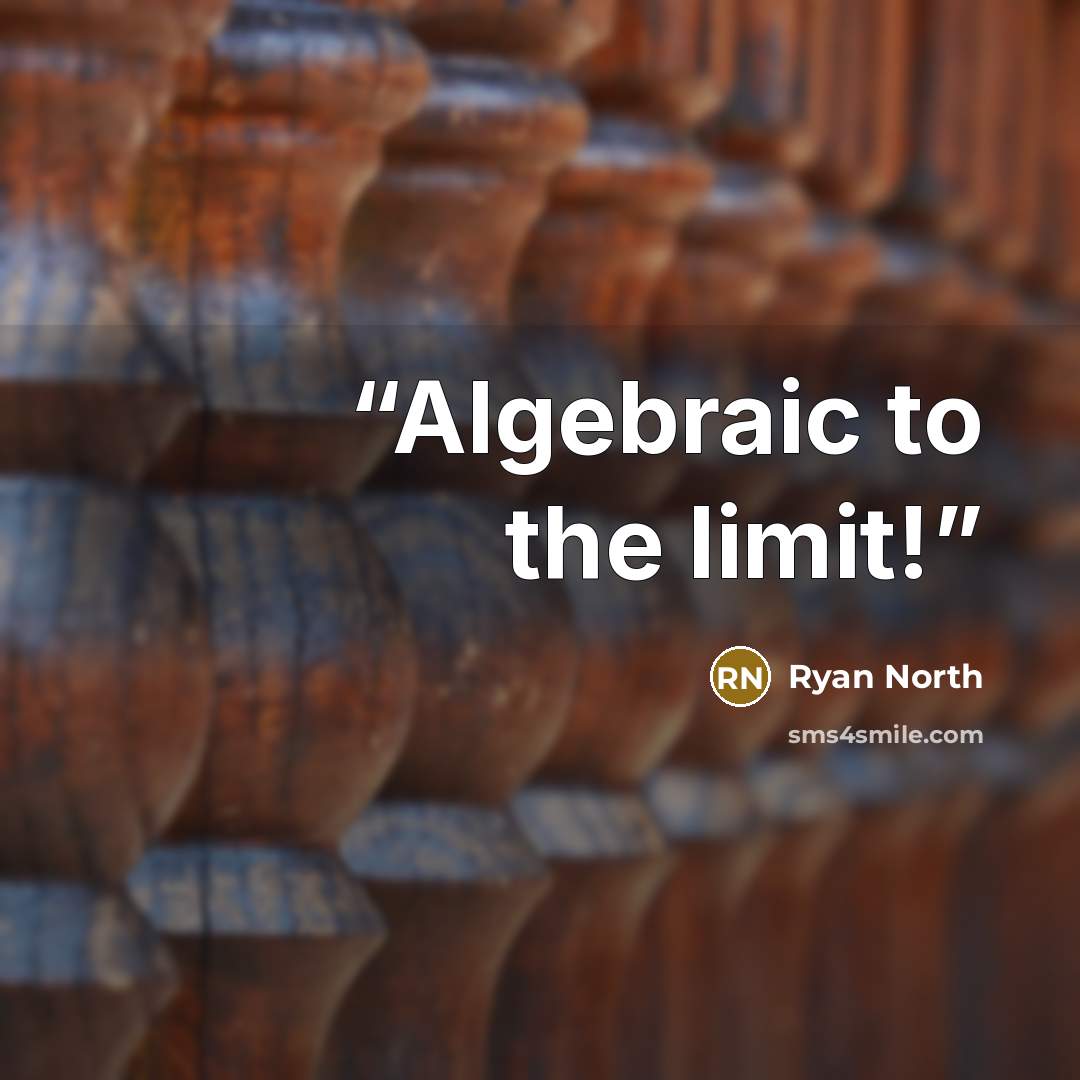“Algebraic to the limit!” quote by Ryan North