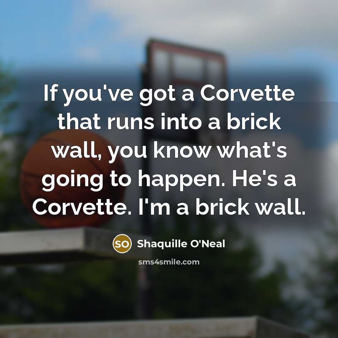 “If you've got a Corvette that runs into a brick wall, you know what's going to happen. He's a Corvette. I'm a brick wall.” quote by Shaquille O'Neal