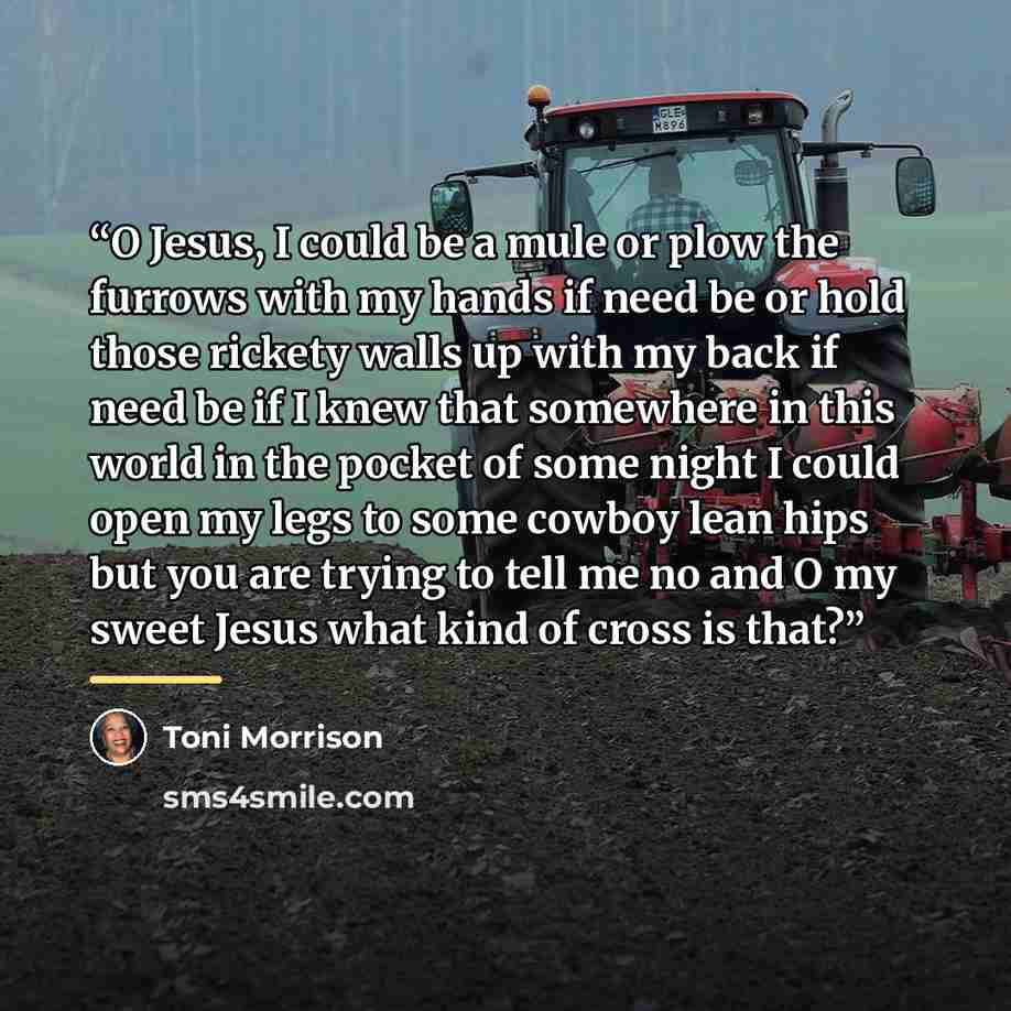 “O Jesus, I could be a mule or plow the furrows with my hands if need be or hold those rickety walls up with my back if need be if I knew that somewhere in this world in the pocket of some night I could open my legs to some cowboy lean hips but you are trying to tell me no and O my sweet Jesus what…” quote by Toni Morrison