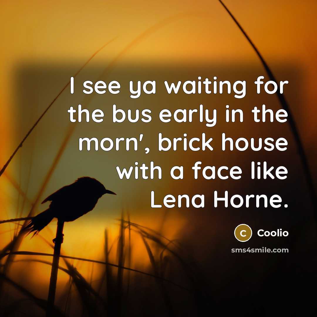 “I see ya waiting for the bus early in the morn', brick house with a face like Lena Horne.” quote by Coolio