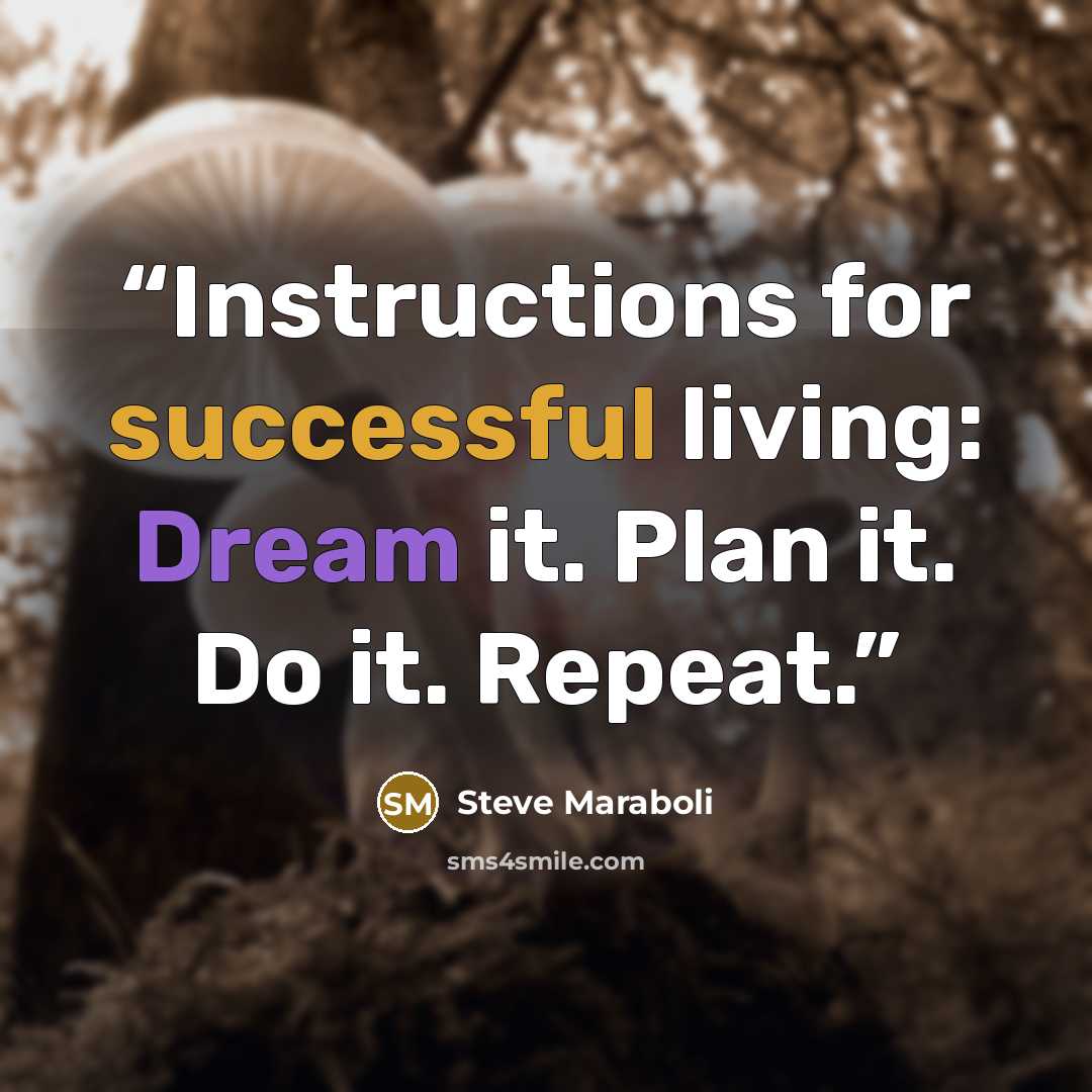 “Instructions for successful living: Dream it. Plan it. Do it. Repeat.” quote by Steve Maraboli