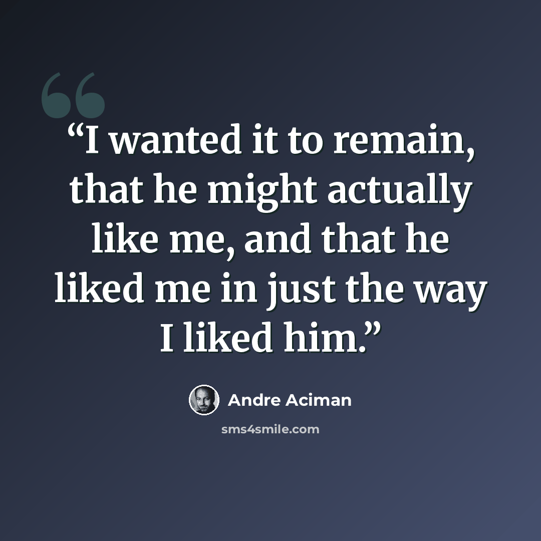 “I wanted it to remain, that he might actually like me, and that he liked me in just the way I liked him.” quote by André Aciman