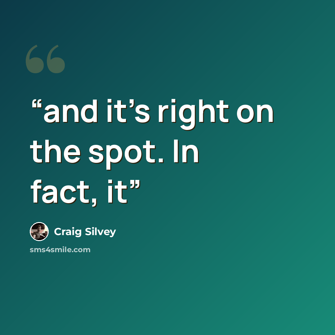 “and it’s right on the spot. In fact, it” quote by Craig Silvey