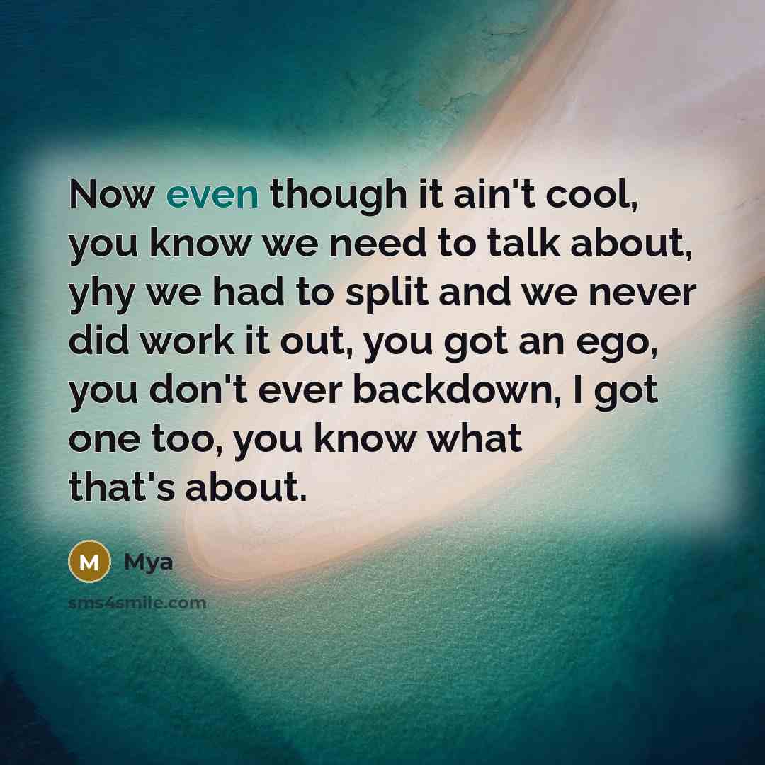 “Now even though it ain't cool, you know we need to talk about, yhy we had to split and we never did work it out, you got an ego, you don't ever backdown, I got one too, you know what that's about.” quote by Mya