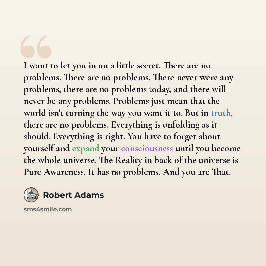 “I want to let you in on a little secret. There are no problems. There are no problems. There never were any problems, there are no problems today, and there will never be any problems. Problems just mean that the world isn't turning the way you want it to. But in truth, there are no problems…” quote by Robert Adams