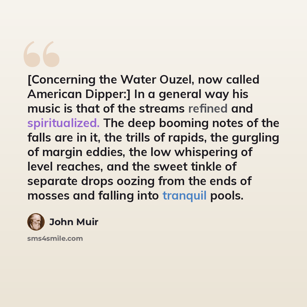 “[Concerning the Water Ouzel, now called American Dipper:] In a general way his music is that of the streams refined and spiritualized. The deep booming notes of the falls are in it, the trills of rapids, the gurgling of margin eddies, the low whispering of level reaches, and the sweet tinkle of…” quote by John Muir