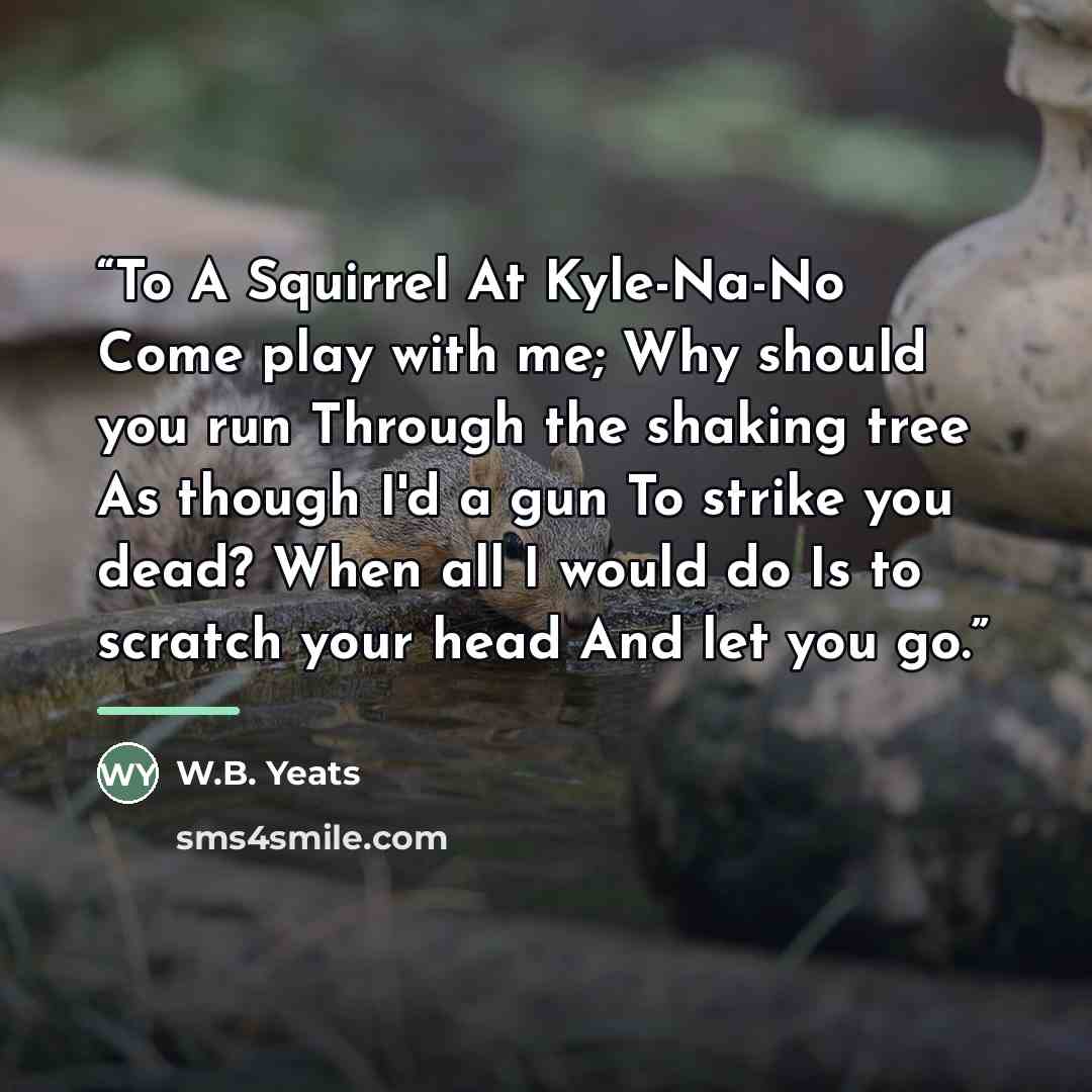 “To A Squirrel At Kyle-Na-No Come play with me; Why should you run Through the shaking tree As though I'd a gun To strike you dead? When all I would do Is to scratch your head And let you go.” quote by W.B. Yeats