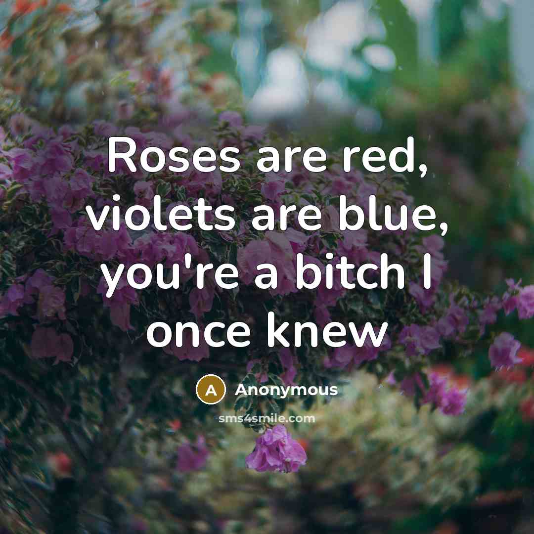 “Roses are red, violets are blue, you're a bitch I once knew” quote by Anonymous