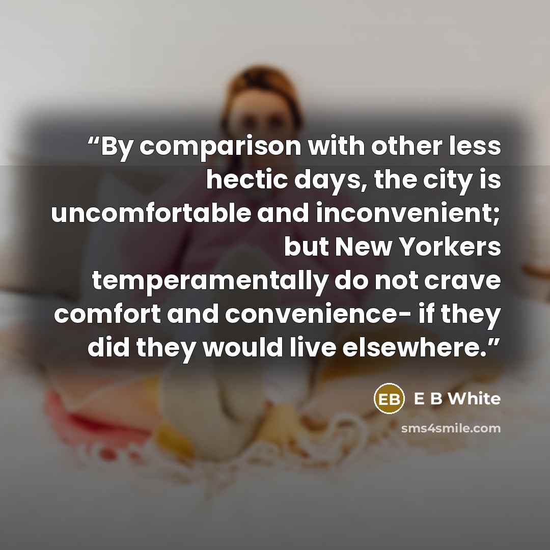 “By comparison with other less hectic days, the city is uncomfortable and inconvenient; but New Yorkers temperamentally do not crave comfort and convenience- if they did they would live elsewhere.” quote by E B White