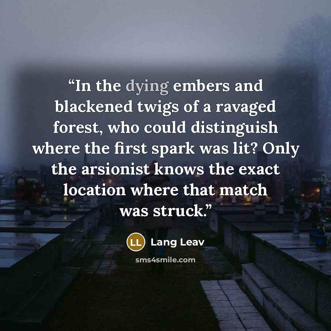 “In the dying embers and blackened twigs of a ravaged forest, who could distinguish where the first spark was lit? Only the arsionist knows the exact location where that match was struck.” quote by Lang Leav