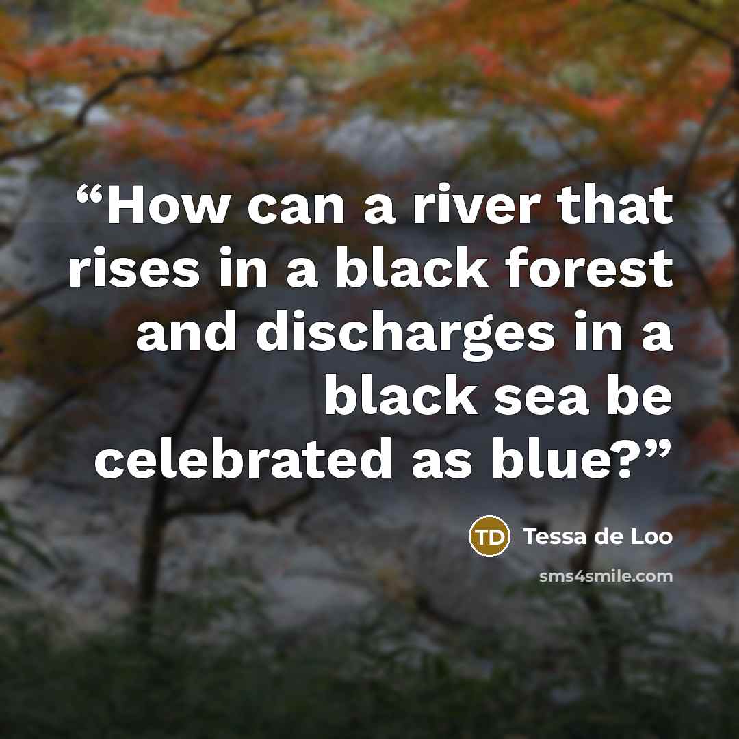 “How can a river that rises in a black forest and discharges in a black sea be celebrated as blue?” quote by Tessa de Loo