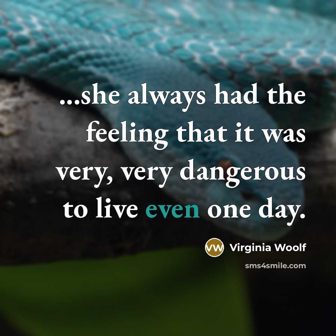 “...she always had the feeling that it was very, very dangerous to live even one day.” quote by Virginia Woolf