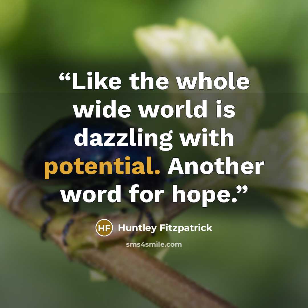“Like the whole wide world is dazzling with potential. Another word for hope.” quote by Huntley Fitzpatrick