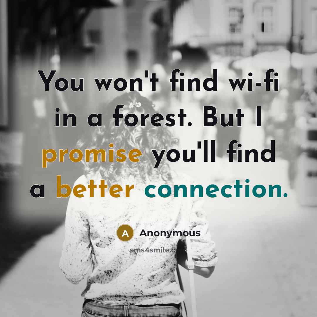 “You won't find wi-fi in a forest. But I promise you'll find a better connection.” quote by Anonymous
