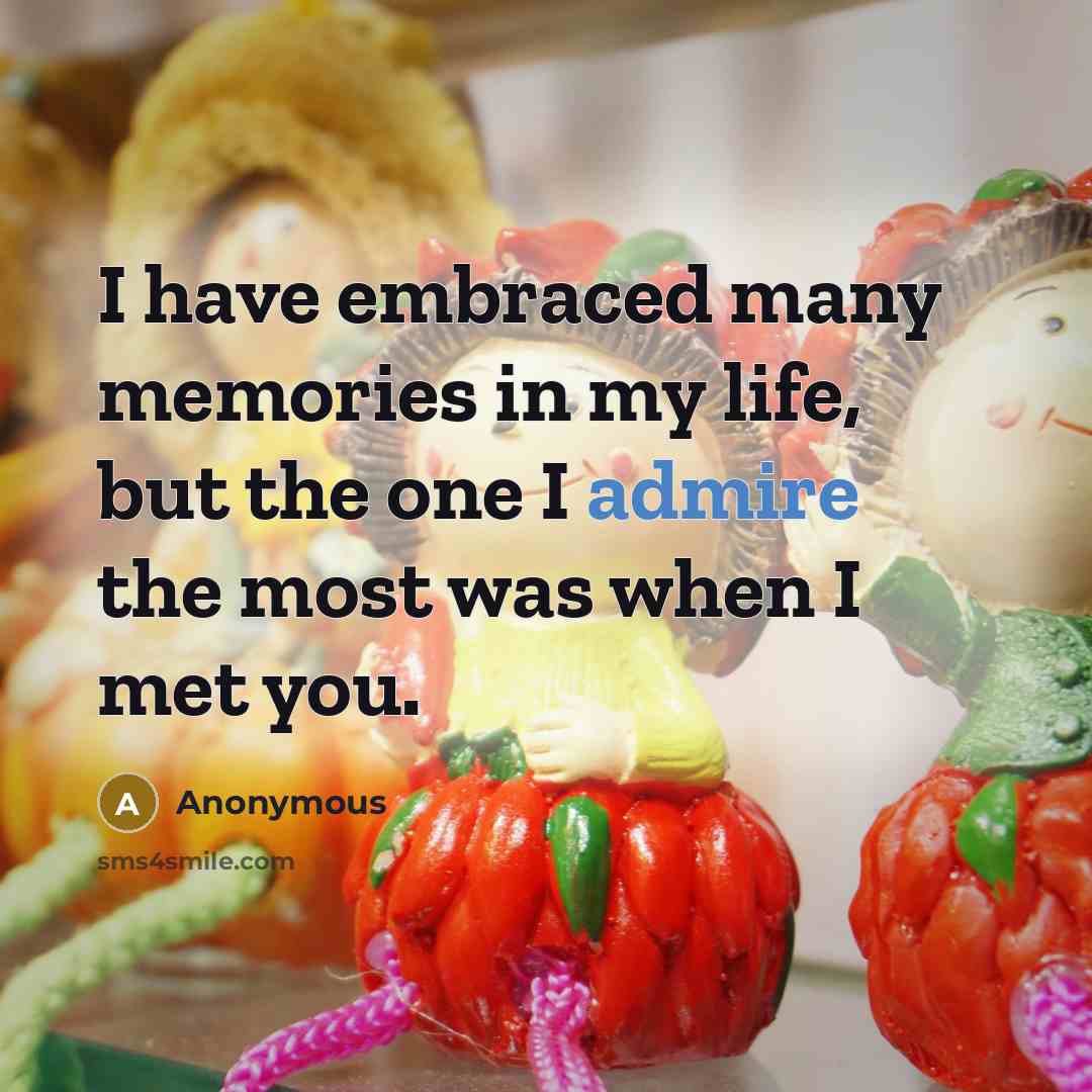 “I have embraced many memories in my life, but the one I admire the most was when I met you.” quote by Anonymous