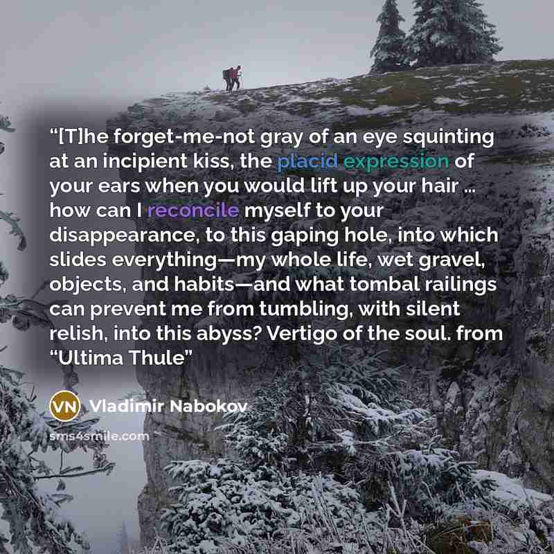 “[T]he forget-me-not gray of an eye squinting at an incipient kiss, the placid expression of your ears when you would lift up your hair … how can I reconcile myself to your disappearance, to this gaping hole, into which slides everything—my whole life, wet gravel, objects, and habits—and what…” quote by Vladimir Nabokov