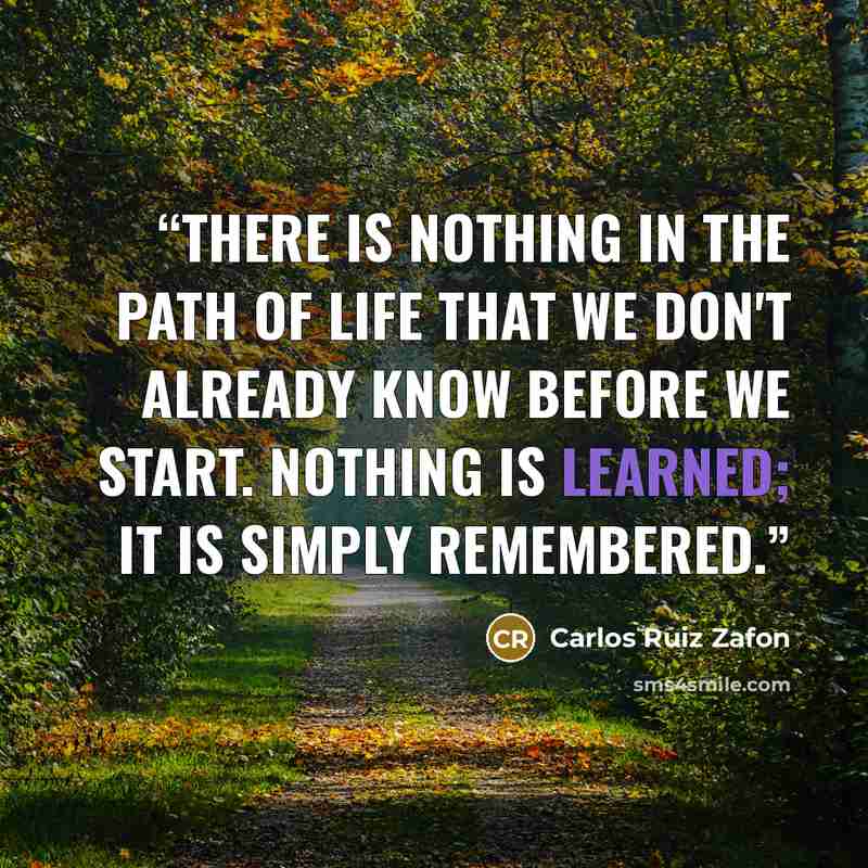 “There is nothing in the path of life that we don't already know before we start. Nothing is learned; it is simply remembered.” quote by Carlos Ruiz Zafón