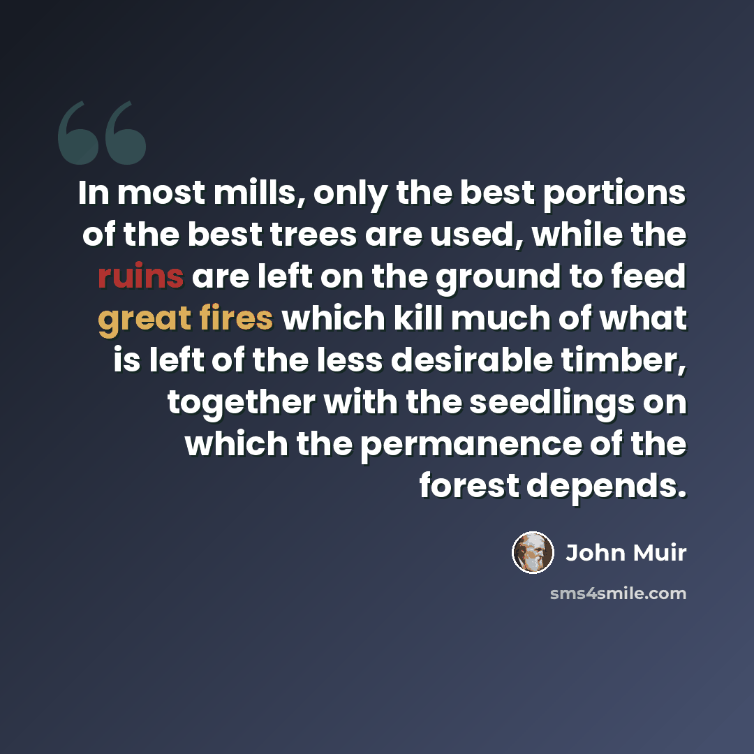 “In most mills, only the best portions of the best trees are used, while the ruins are left on the ground to feed great fires which kill much of what is left of the less desirable timber, together with the seedlings on which the permanence of the forest depends.” quote by John Muir
