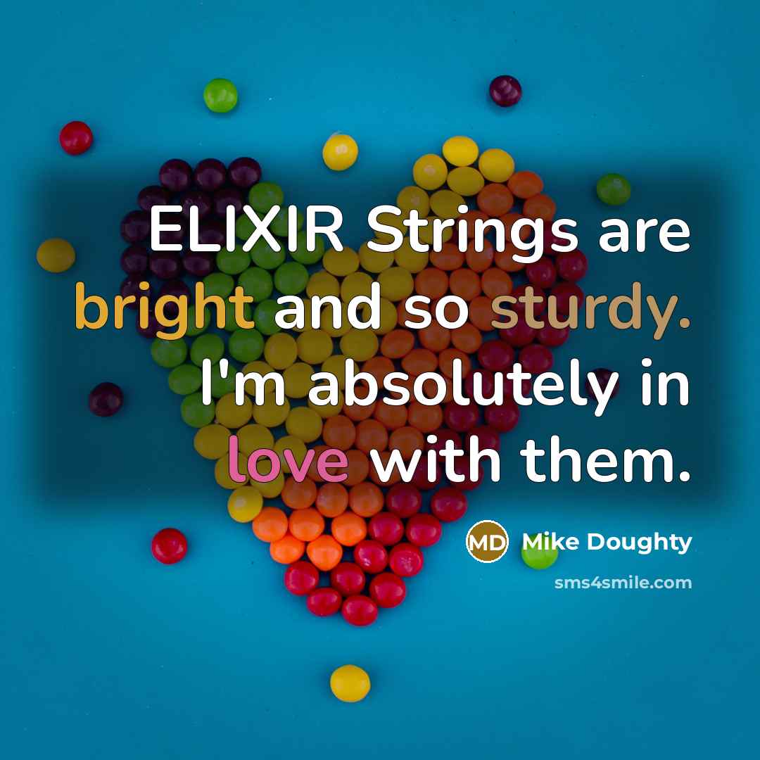 “ELIXIR Strings are bright and so sturdy. I'm absolutely in love with them.” quote by Mike Doughty