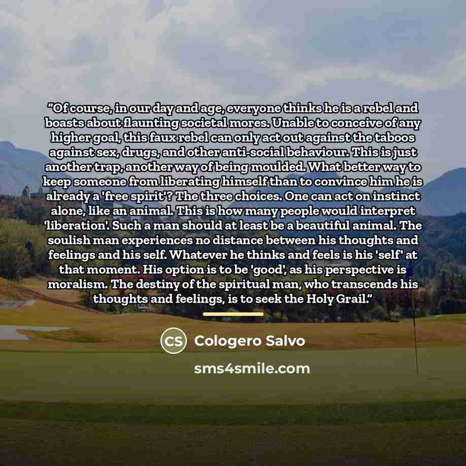 “Of course, in our day and age, everyone thinks he is a rebel and boasts about flaunting societal mores. Unable to conceive of any higher goal, this faux rebel can only act out against the taboos against sex, drugs, and other anti-social behaviour. This is just another trap, another way of being…” quote by Cologero Salvo