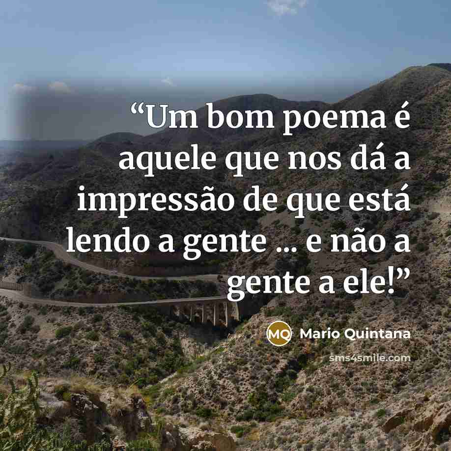 “Um bom poema é aquele que nos dá a impressão de que está lendo a gente ... e não a gente a ele!” quote by Mario Quintana
