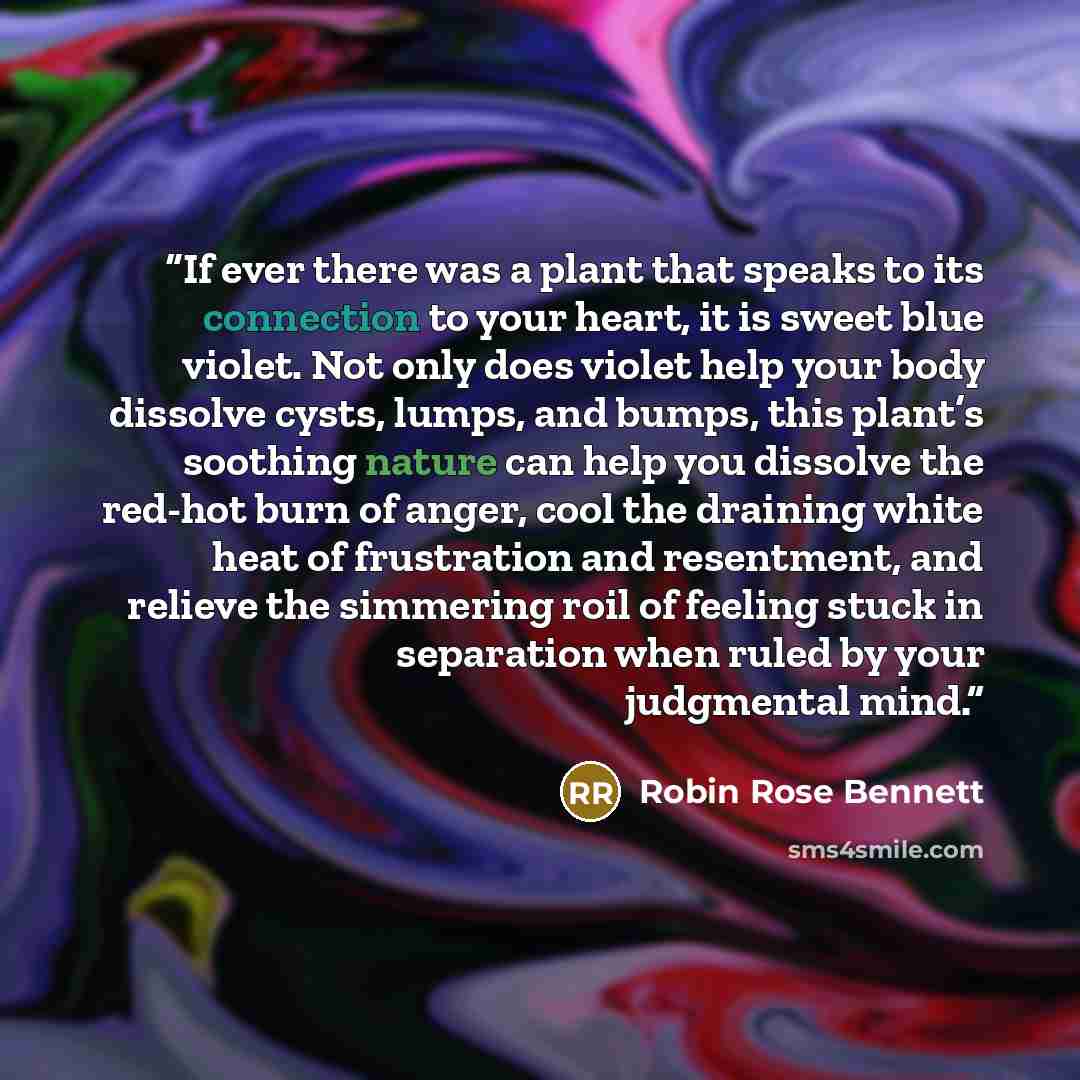 “If ever there was a plant that speaks to its connection to your heart, it is sweet blue violet. Not only does violet help your body dissolve cysts, lumps, and bumps, this plant’s soothing nature can help you dissolve the red-hot burn of anger, cool the draining white heat of frustration and…” quote by Robin Rose Bennett