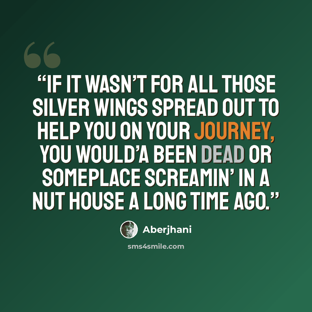 “If it wasn’t for all those silver wings spread out to help you on your journey, you would’a been dead or someplace screamin’ in a nut house a long time ago.” quote by Aberjhani